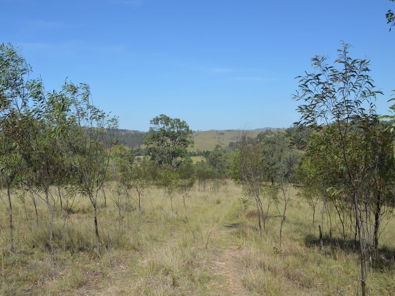 Lot 4 Mirannie Road, Singleton NSW 2330
