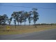 Lot 7 99 Minimbah Drive, Singleton NSW 2330