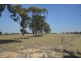 Lot 7 99 Minimbah Drive, Singleton NSW 2330