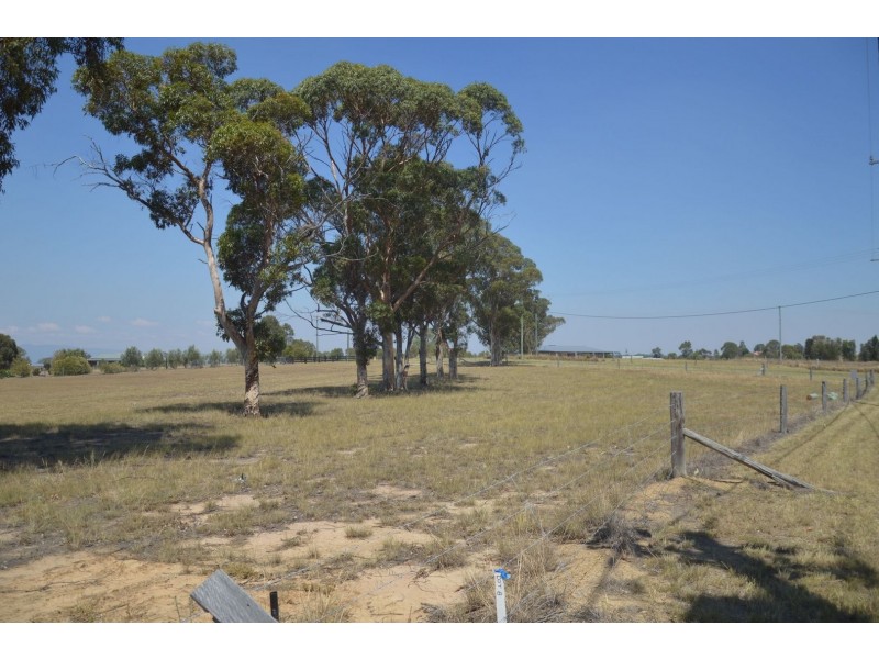 Lot 7 99 Minimbah Drive, Singleton NSW 2330