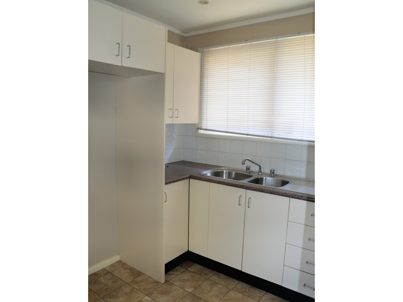 11 Mitchell Avenue, Singleton NSW 2330