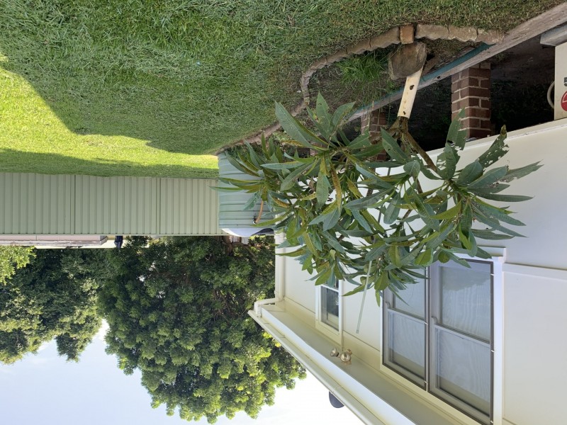 23 Howe Street, Singleton NSW 2330