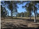 189 Brigadier Hammett Road, Singleton NSW 2330