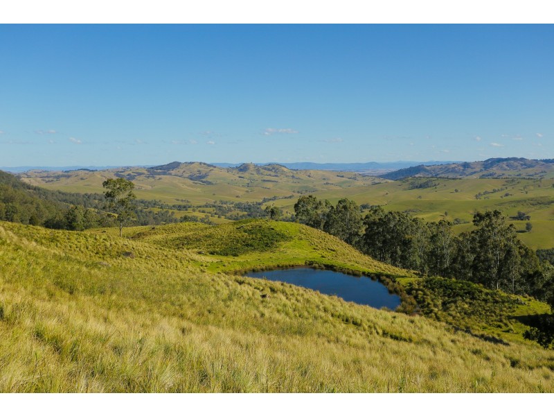 Goorangoola NSW 2330
