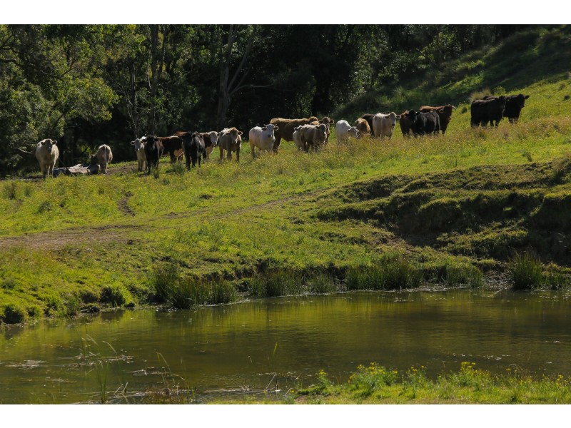Goorangoola NSW 2330