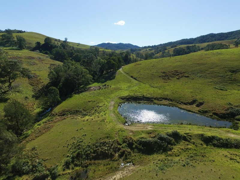 Goorangoola NSW 2330