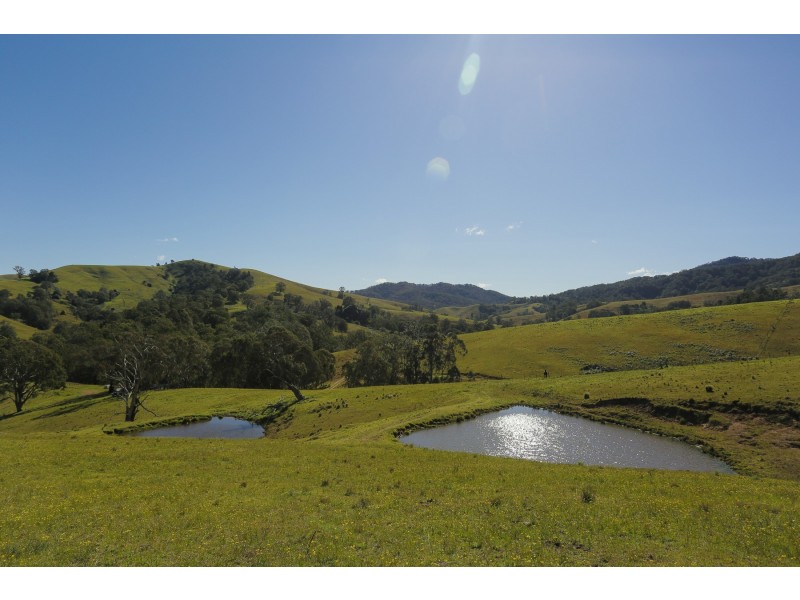 Goorangoola NSW 2330