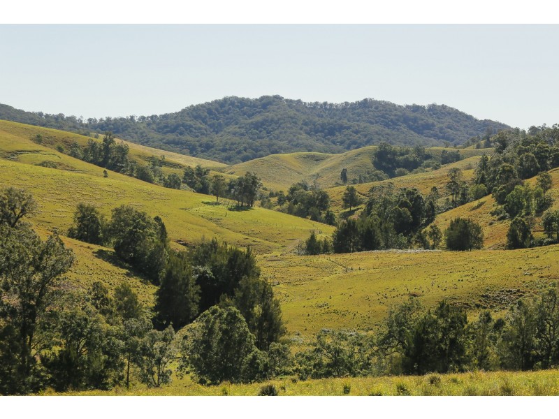 Goorangoola NSW 2330