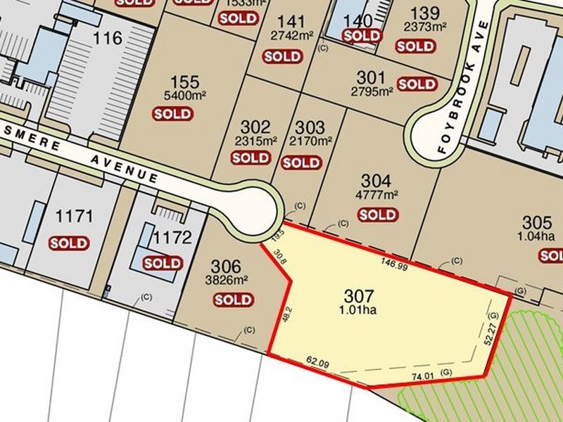 307 McDougall Business Park, Singleton NSW 2330