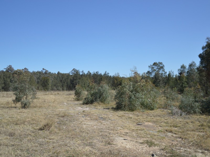 307 McDougall Business Park, Singleton NSW 2330