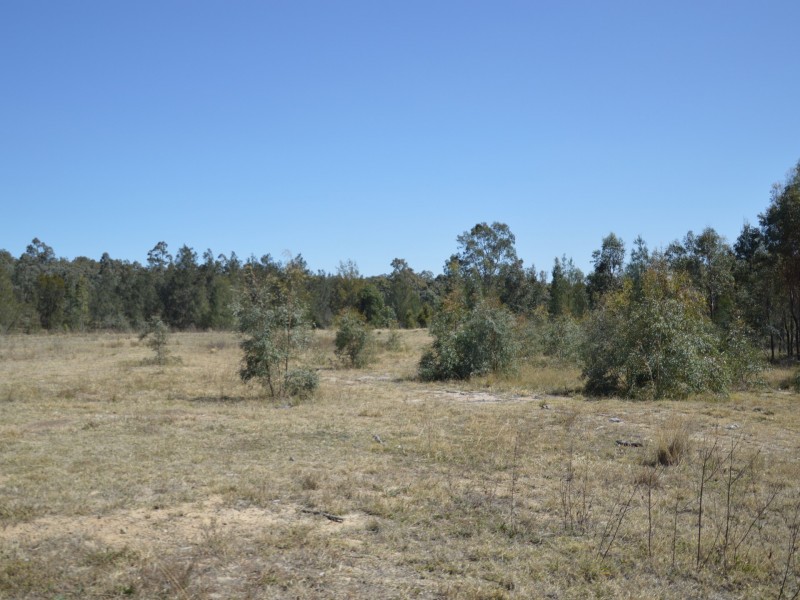307 McDougall Business Park, Singleton NSW 2330