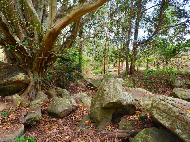 1015 Wollombi Road, Broke NSW 2330