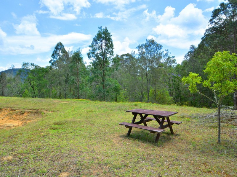 1015 Wollombi Road, Broke NSW 2330