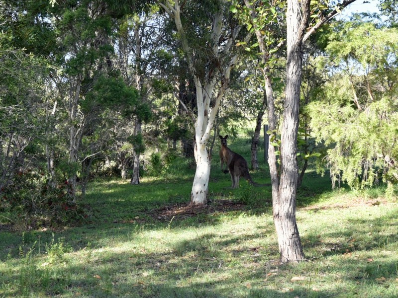 13 Rosehill Place, Branxton NSW 2335