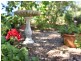 13 Rosehill Place, Branxton NSW 2335
