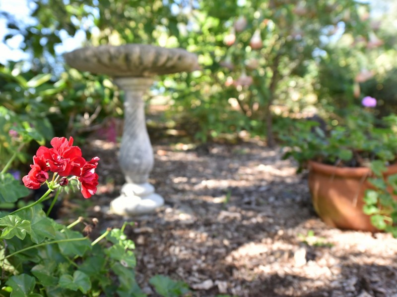 13 Rosehill Place, Branxton NSW 2335