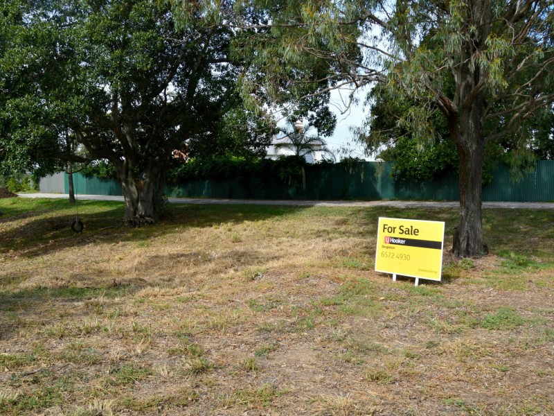 38A Falkiner Crescent, Singleton NSW 2330