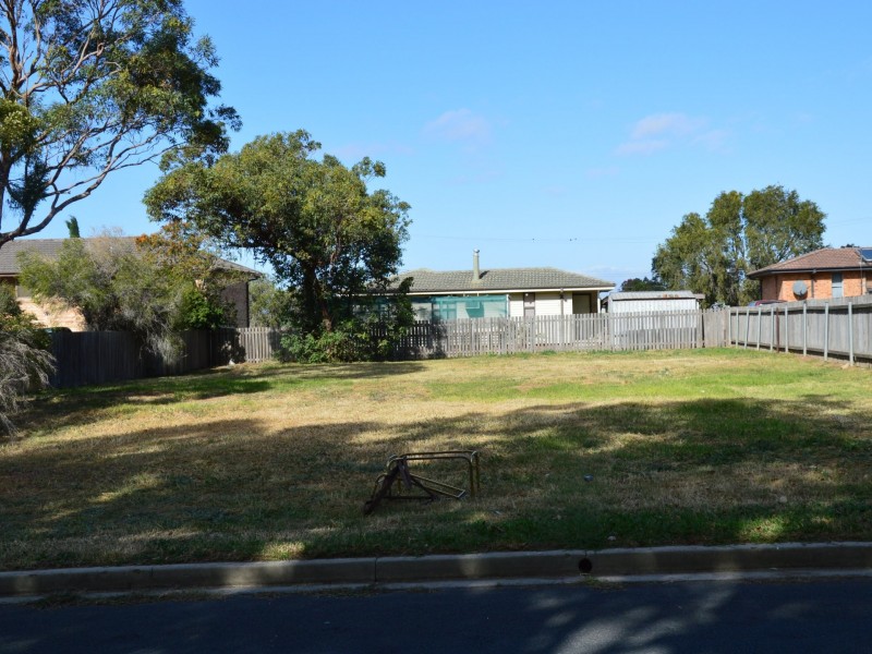 17 Mitchell Avenue, Singleton NSW 2330