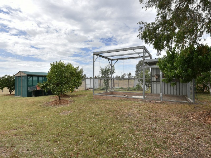 99 Minimbah Drive, Singleton NSW 2330