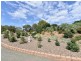 99 Minimbah Drive, Singleton NSW 2330