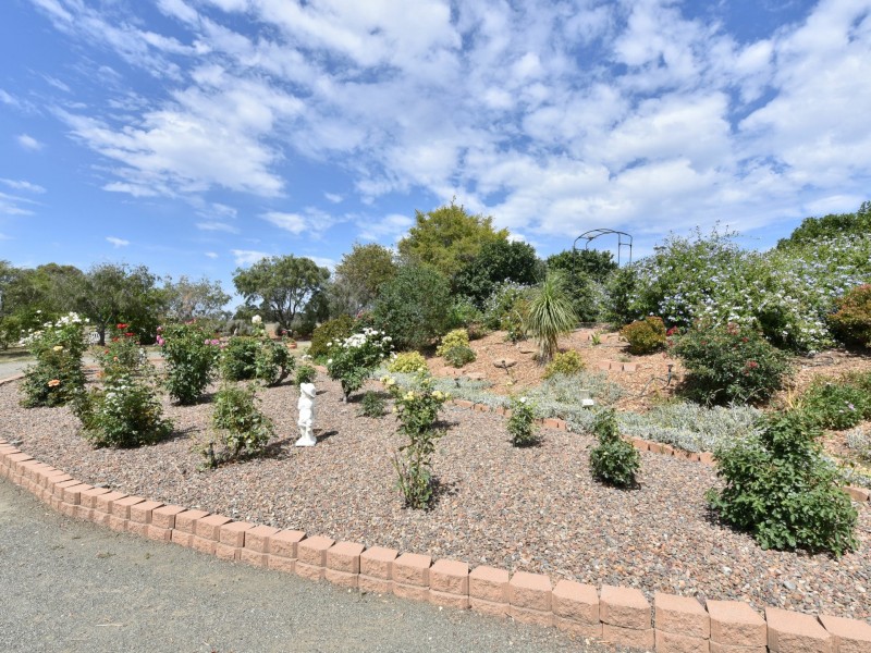 99 Minimbah Drive, Singleton NSW 2330
