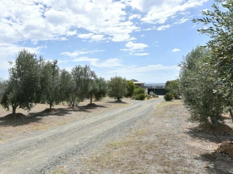 99 Minimbah Drive, Singleton NSW 2330