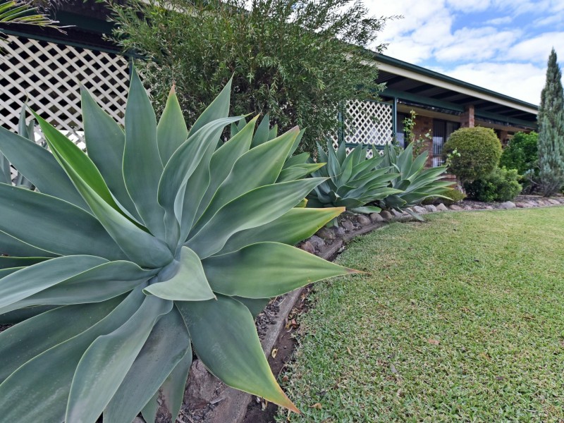 1 Casey Drive, Singleton NSW 2330