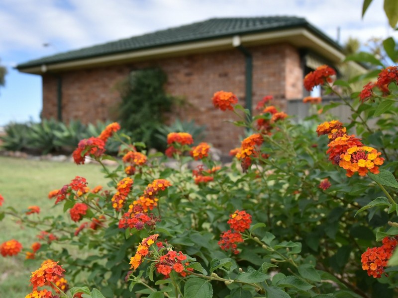 1 Casey Drive, Singleton NSW 2330