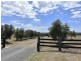99 Minimbah Drive, Singleton NSW 2330