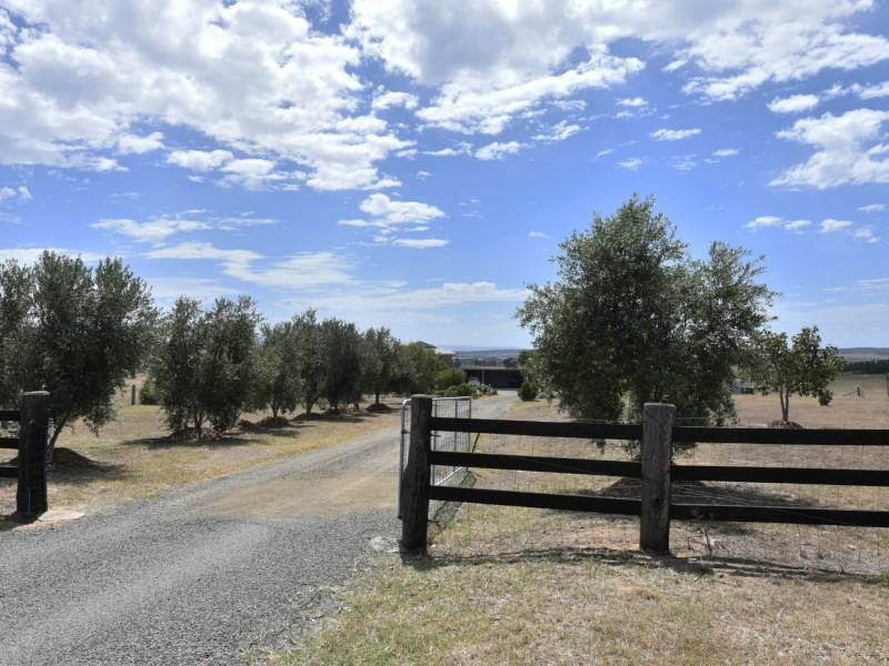 99 Minimbah Drive, Singleton NSW 2330
