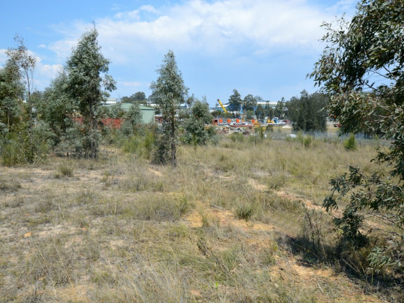 Lot 213 Longworth Close, Singleton NSW 2330