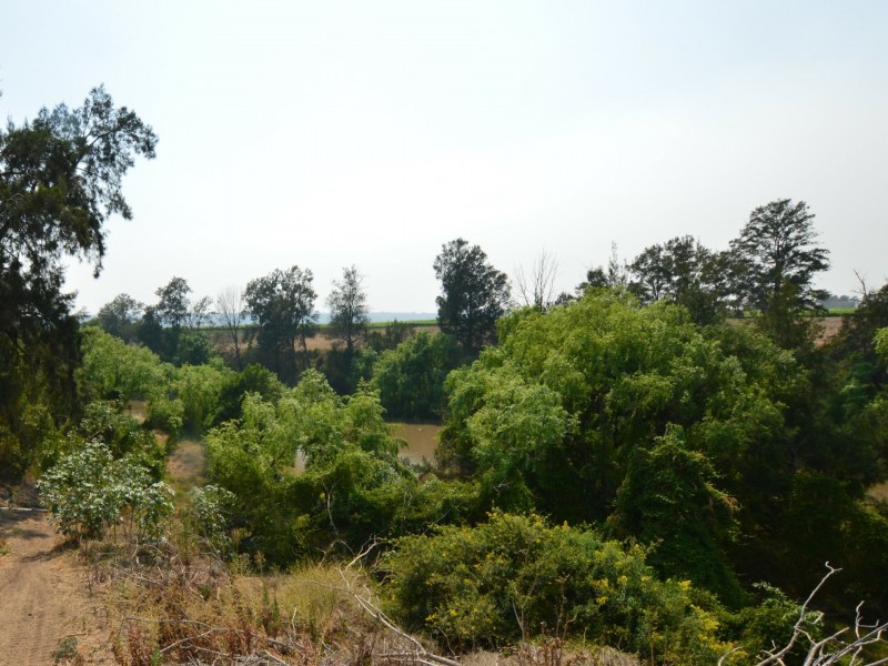 30 Bridgman Road, Singleton NSW 2330