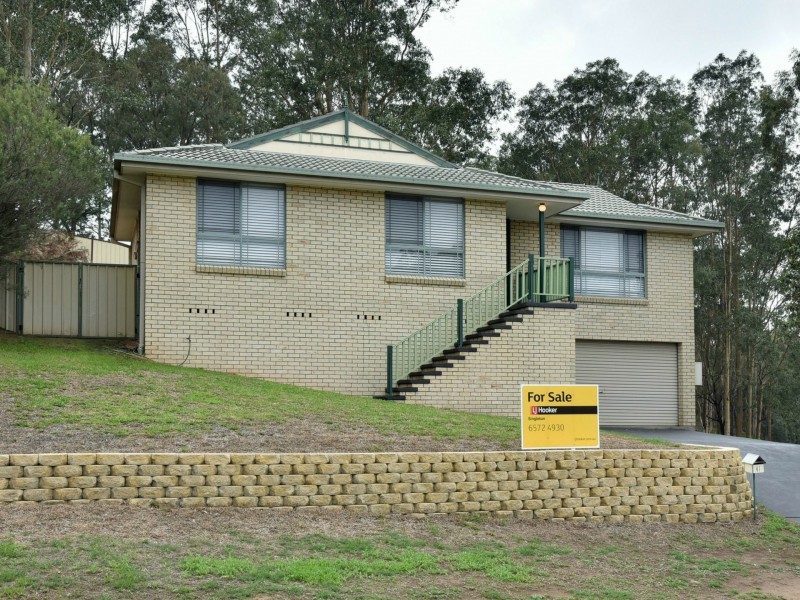 41 Robinson Way, Singleton NSW 2330