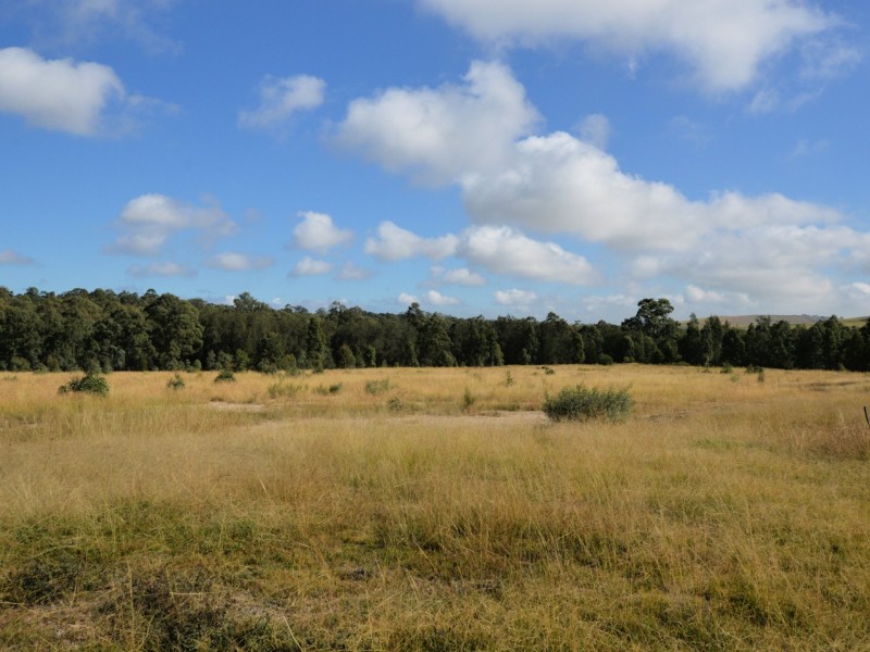Lot 206 Longworth Close, Singleton NSW 2330