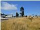 Lot 206 Longworth Close, Singleton NSW 2330