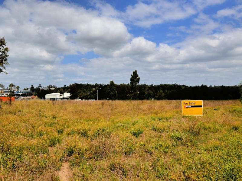 1 Longworth Close, Singleton NSW 2330