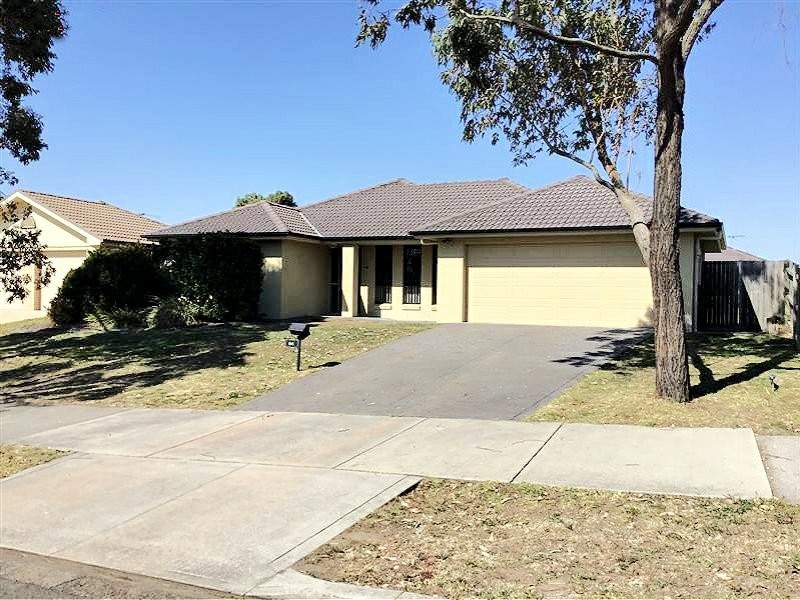 Singleton NSW 2330