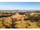 850 Dyrring Road, Singleton NSW 2330