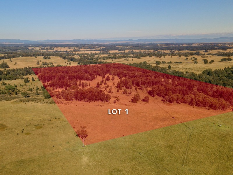 850 Dyrring Road, Singleton NSW 2330