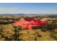 850 Dyrring Road, Singleton NSW 2330