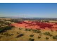 850 Dyrring Road, Singleton NSW 2330