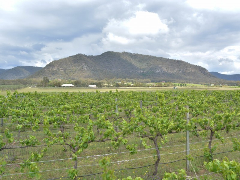 725 Milbrodale Road, Broke NSW 2330