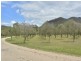 725 Milbrodale Road, Broke NSW 2330