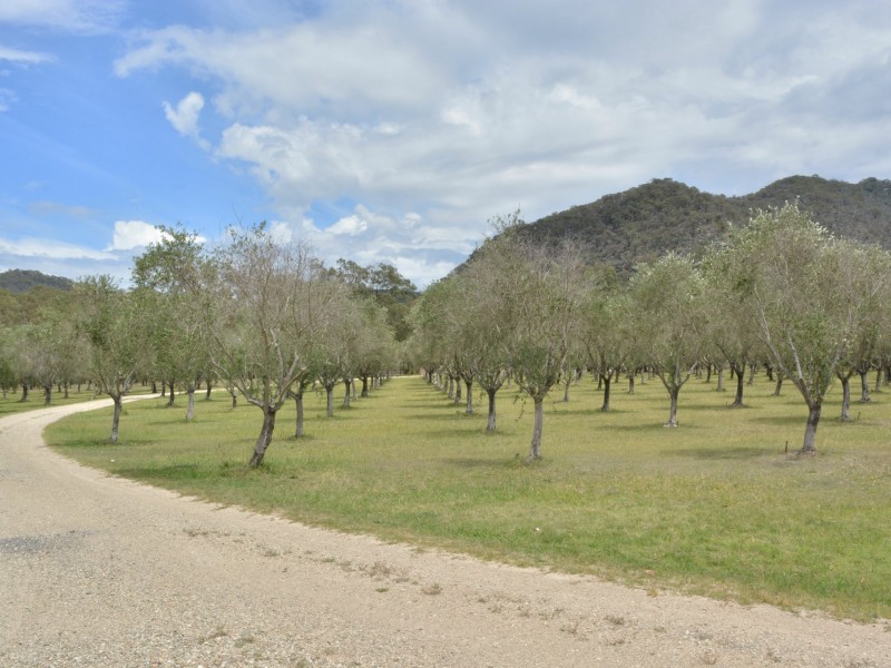 725 Milbrodale Road, Broke NSW 2330