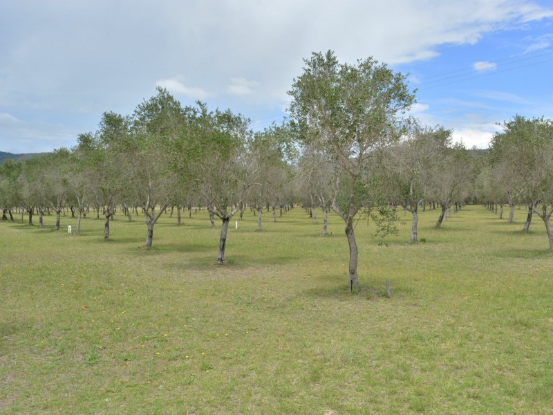 725 Milbrodale Road, Broke NSW 2330