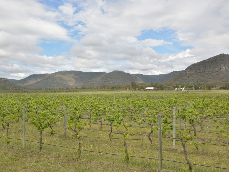 725 Milbrodale Road, Broke NSW 2330