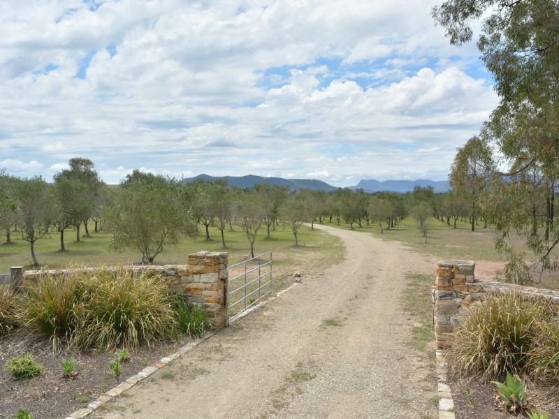 725 Milbrodale Road, Broke NSW 2330