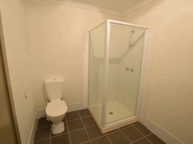 31 White Avenue, Singleton NSW 2330