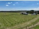 321 Milbrodale Road, Broke NSW 2330