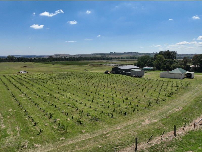 321 Milbrodale Road, Broke NSW 2330